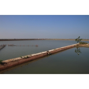 201901-5【天下雜誌】傳承轉型 揭開漁業與環境永續的關鍵秘辛_2019_.jpg